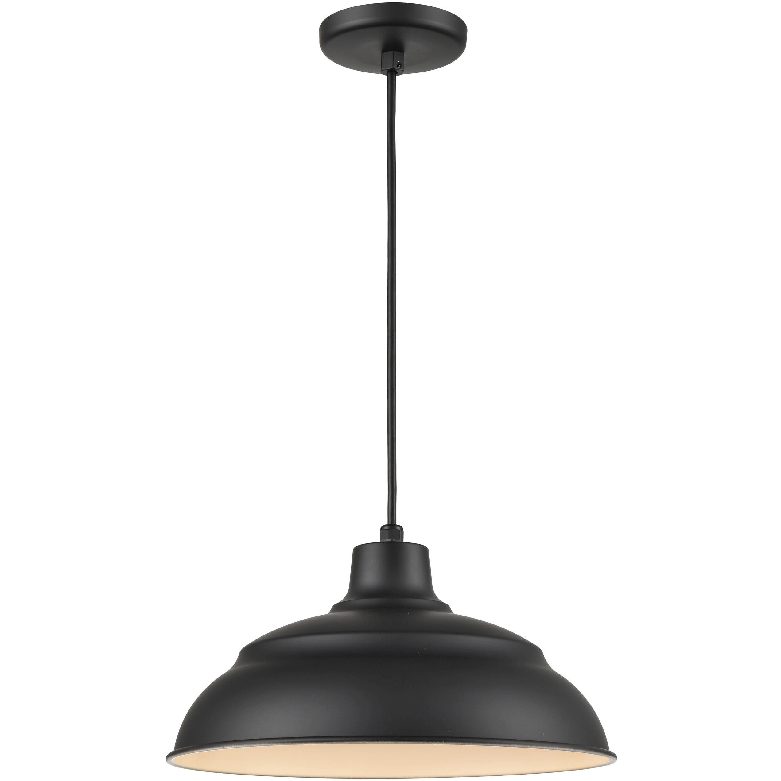 R Series 1 Light 14.00 inch Pendant